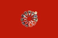 岱岳回收红酒